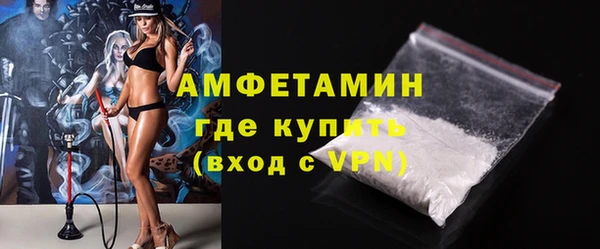 шишки Гусь-Хрустальный