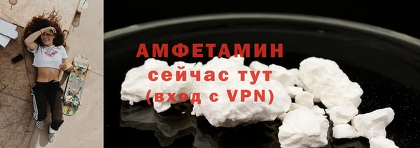 шишки Гусь-Хрустальный
