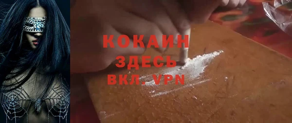 шишки Гусь-Хрустальный