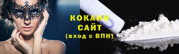 шишки Гусь-Хрустальный