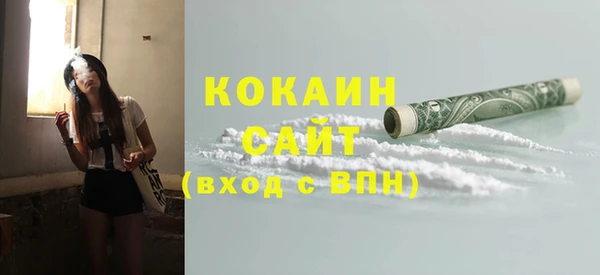 шишки Гусь-Хрустальный