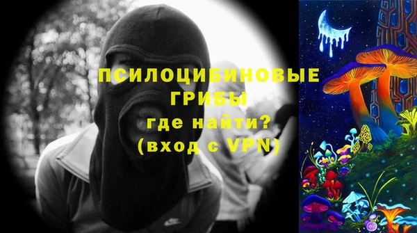 шишки Гусь-Хрустальный