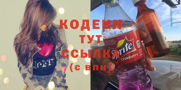 шишки Гусь-Хрустальный