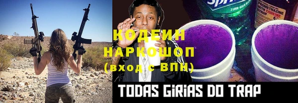 шишки Гусь-Хрустальный