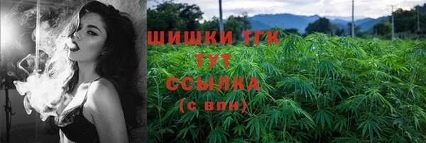 шишки Гусь-Хрустальный