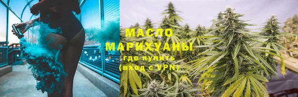 шишки Гусь-Хрустальный