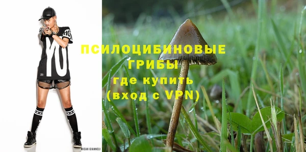 ПСИЛОЦИБИНОВЫЕ ГРИБЫ Гусиноозёрск