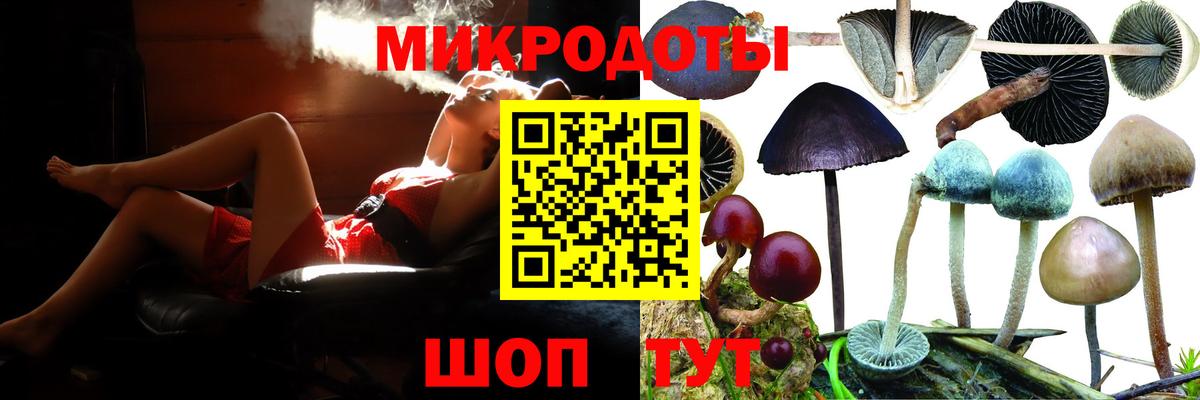 Псилоцибиновые грибы мицелий Междуреченск