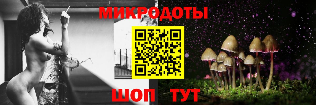 даркнет сайт  Галлюциногенные грибы GOLDEN TEACHER  Вход с VPN  Междуреченск 