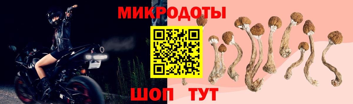 Псилоцибиновые грибы MAGIC MUSHROOMS  Междуреченск  Галлюциногенные грибы MAGIC MUSHROOMS 